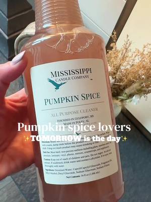 TikTok post by @stacincarey for Mississippi Candle Co.. Caption reads: [...] themselves - IT IS SO DANG GOOD ✨....