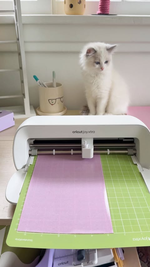 Instagram post by @annikamarieee for Cricut. Caption reads: [...] than I do… all thanks to @cricut #ad 🐾💕.