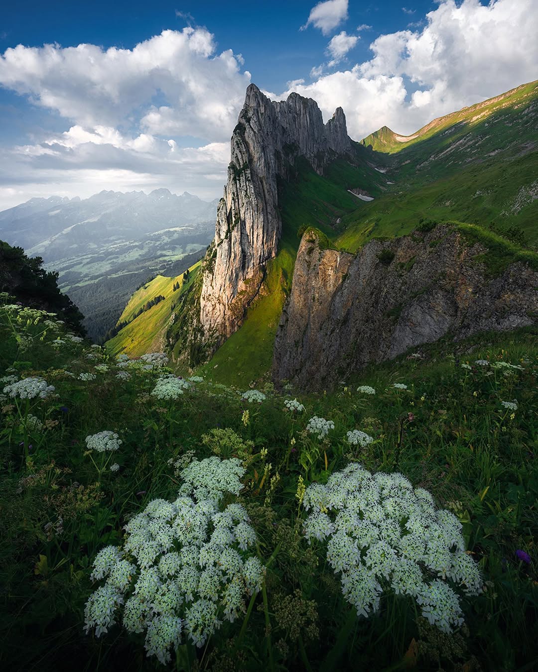 Instagram post by @marcograssiphotography for Wilderness Culture. Caption reads: Same spot, different moments 🌄 Same flowers,....