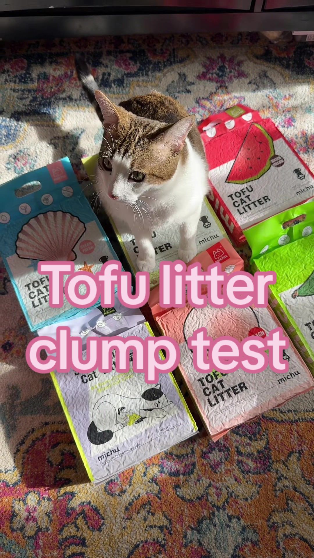 TikTok post by @vibewithviola for MICHUPET. Caption reads: I was shocked at the clump test on this tofu....
