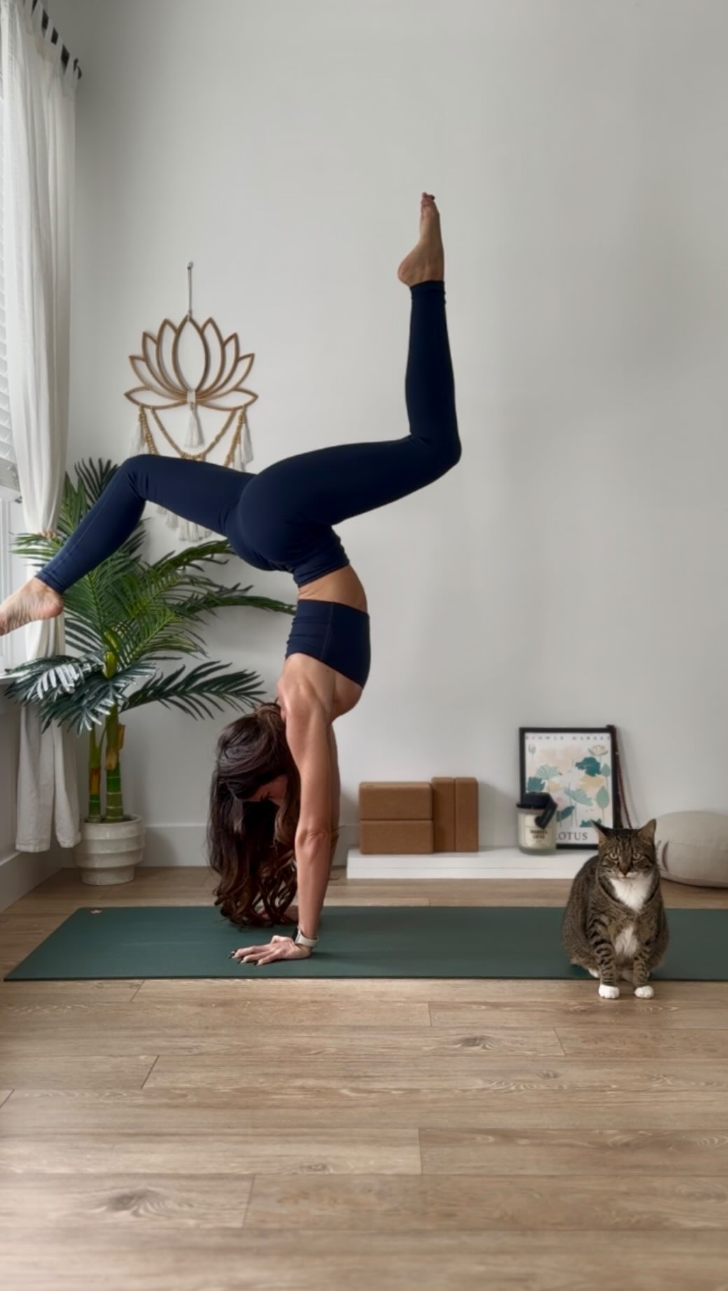 Instagram post by @yogabycc for Girlfriend Collective. Caption reads: everything, in time.

💘

#yogavideo....