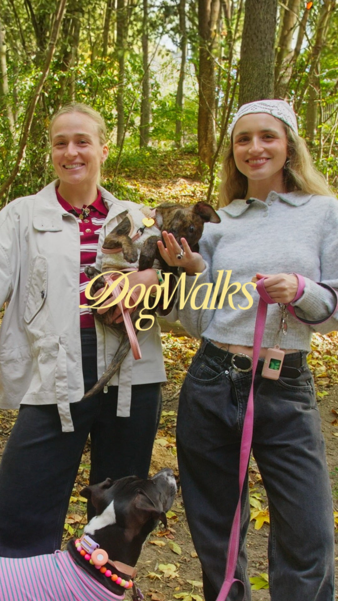 Instagram post by @lydialoo12 for Rent the Runway. Caption reads: On this Sunday episode of Dog Walks we turn to....