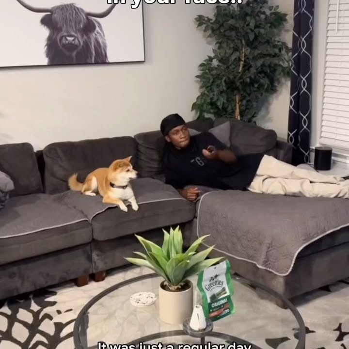 Instagram post by @cody.taurus for Greenies. Caption reads: #ad Her breath hit me like a freight train… but I....