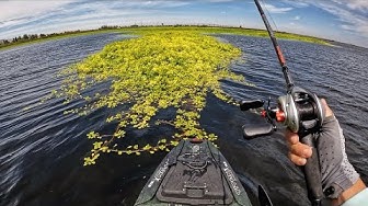 YouTube post by @GregBlanchardFishing for Deepersonar. Caption reads: Summer Bass fishing on the California Delta (2025).