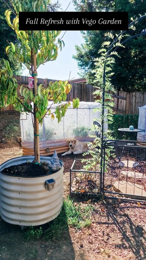 Instagram post by @theclassymamabear for Vego Garden. Caption reads: [...] Garden Bed Kits and all the ways our Vego....