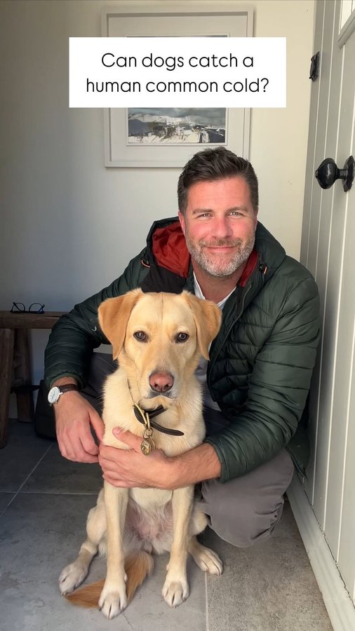 Instagram post by @drjgreenwood for Forthglade. Caption reads: ‘Can our dogs catch a human cold?!’

As a vet,....