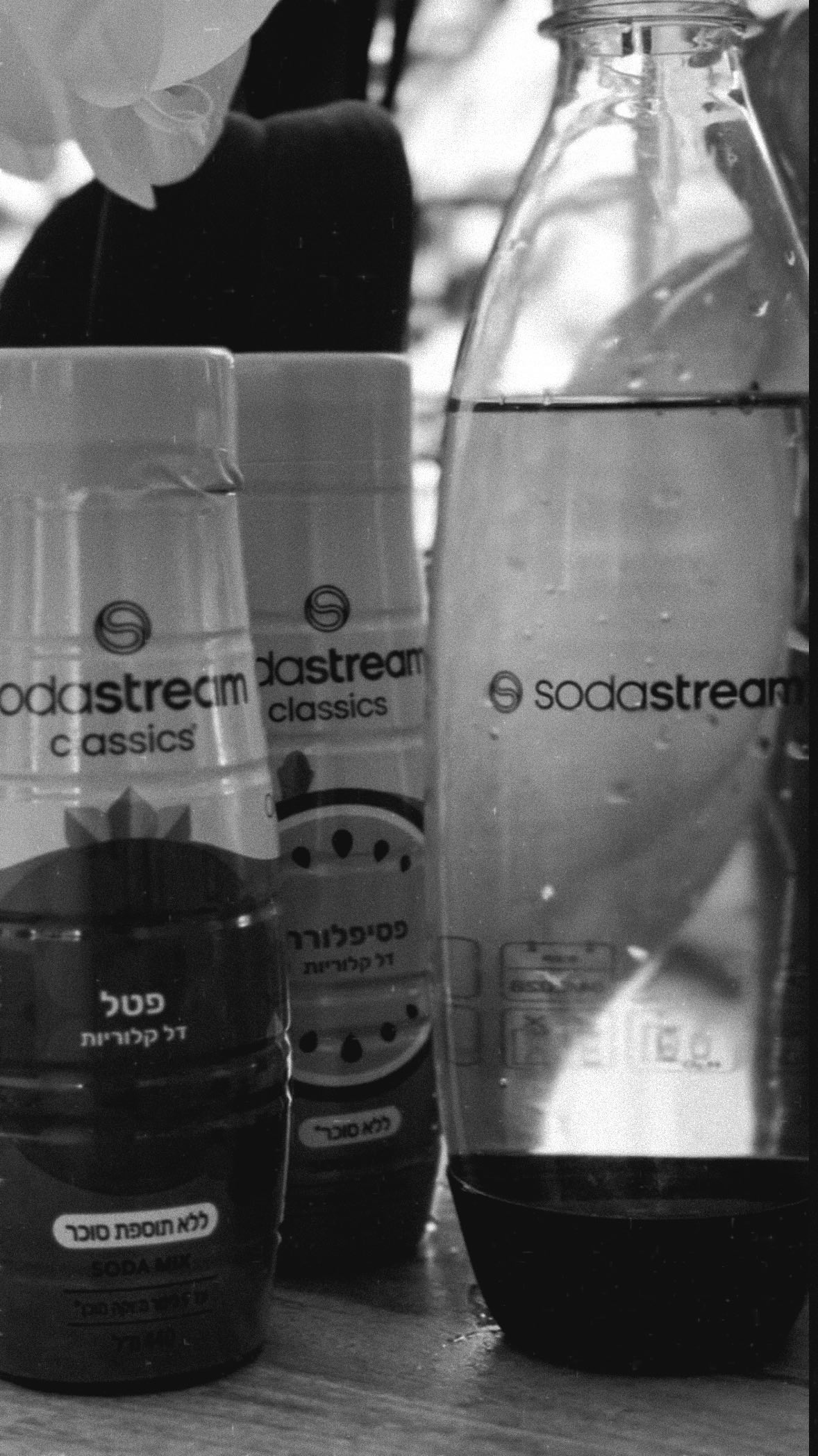 Instagram post by @shira_feldman for SodaStream. Caption reads: ⁨ Holiday Magic, SodaStream Style ✨ • המכשיר של....