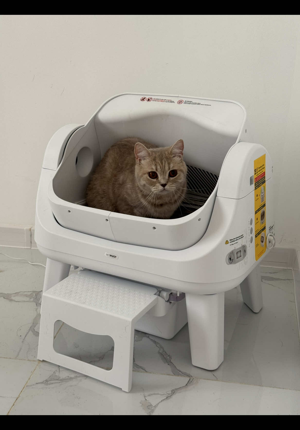 TikTok post by @ninafotskhverashvili for PetPivot. Caption reads: [...] cat’s litter box every single day. 🤯....