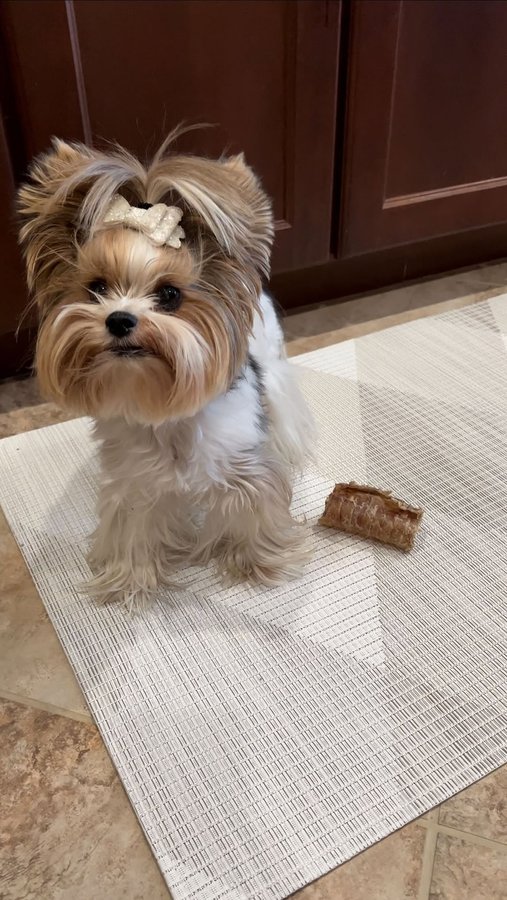 Instagram post by @sammie.n.maddie for Chilewich. Caption reads: This rug from @chilewich is the perfect spot for....