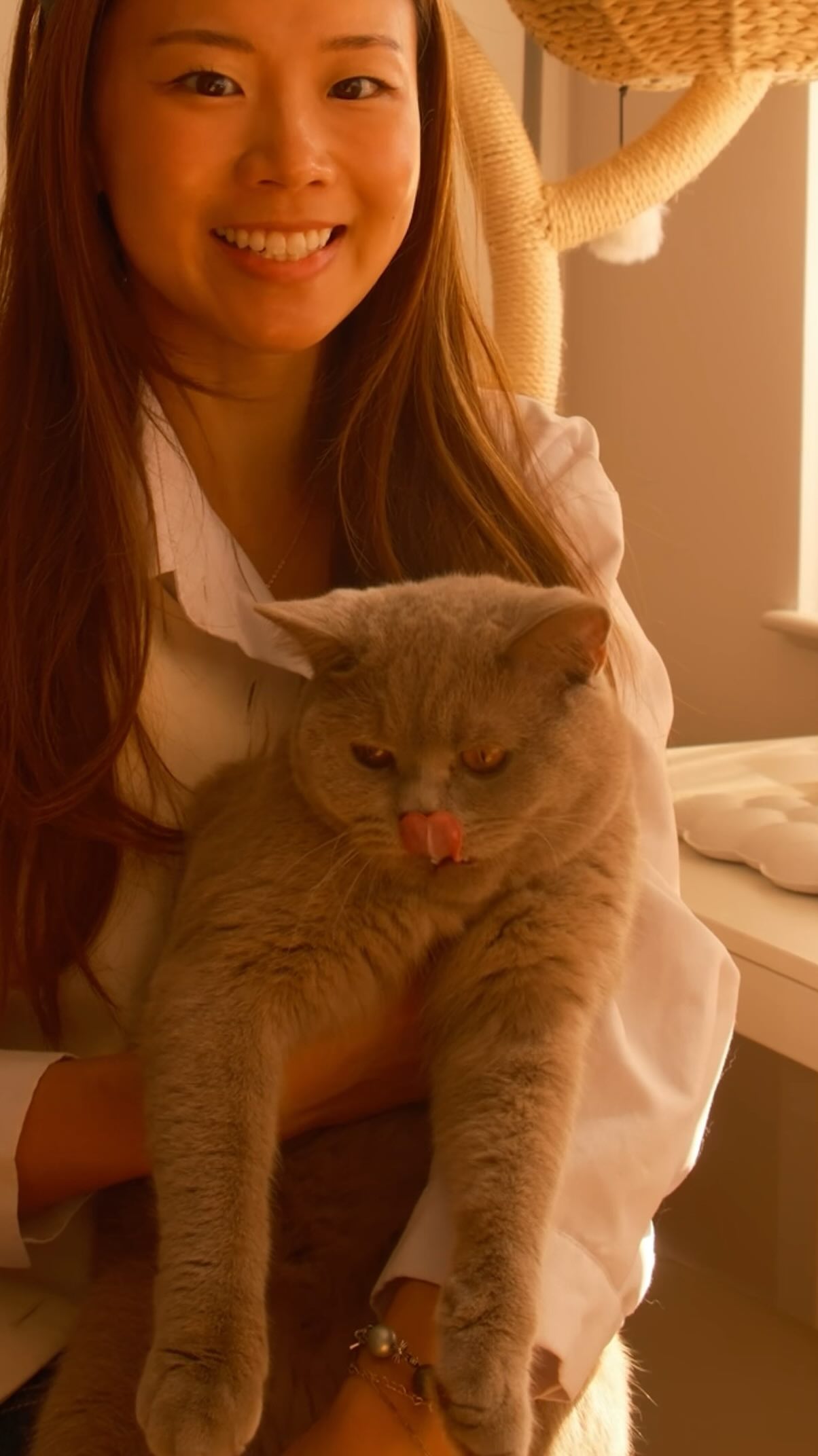 Instagram post by @yuzujoy for Purina. Caption reads: Totoro’s manifesting a year of Friskies 😸 #ad....