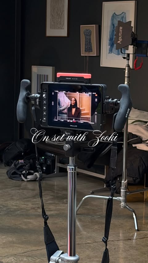 Instagram post by @rochellehumes for Zooki. Caption reads: [...] announce my brand new partnership with Zooki....