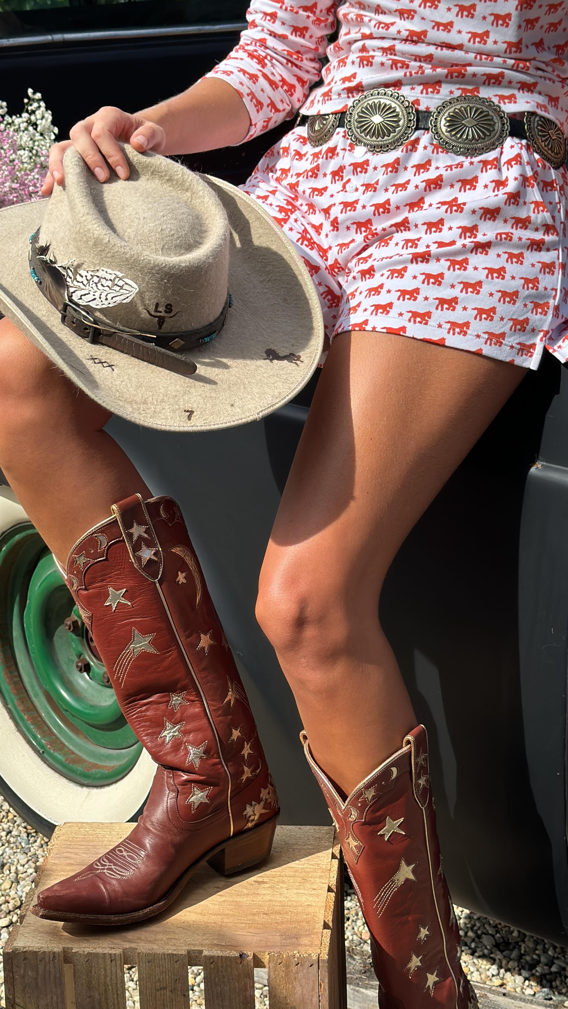 Instagram post by @lillysisto for Roller Rabbit. Caption reads: [...] the Dallas scene of our....