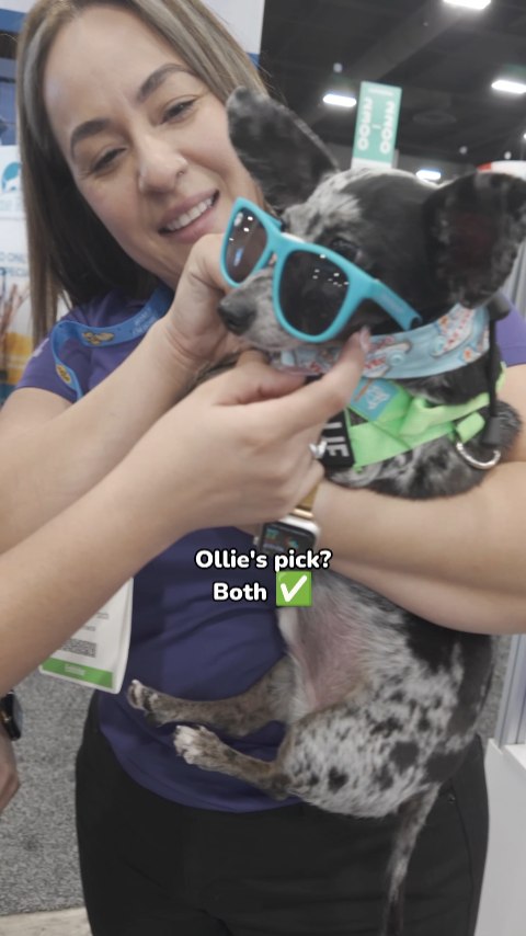 Instagram post by an influencer for NutriSource Pet Foods. Caption reads: [...] superfan. 🐶✨ #ad #NutriSourcePetFoods....
