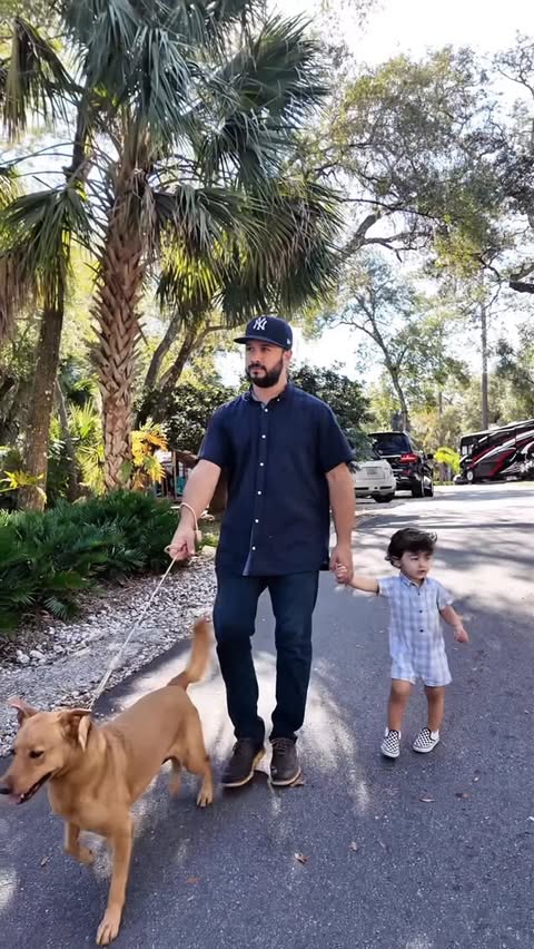 Instagram post by @thepolofamily for Petcube. Caption reads: [...] we had no idea where she was.
Using the....