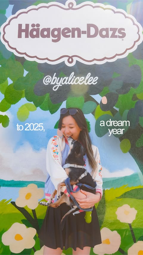 Instagram post by @byalicelee for Disneyland. Caption reads: 2025 was the most unexpected and best year of my....