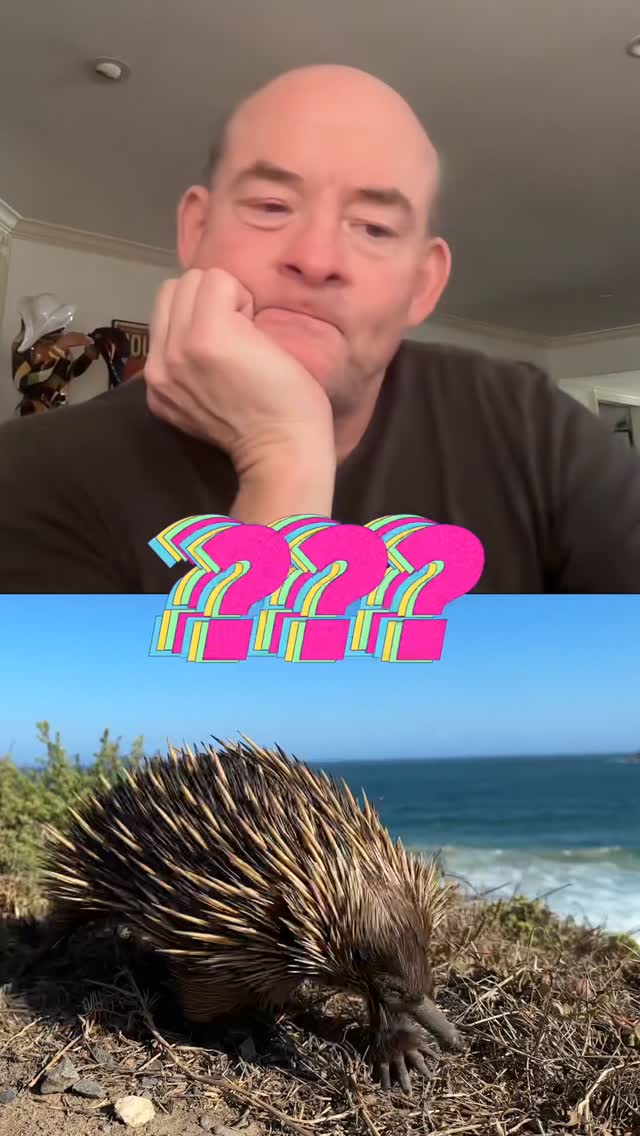 Instagram post by @davidkoechner for NATURE. Caption reads: Don’t worry, @davidkoechner has never eaten an....