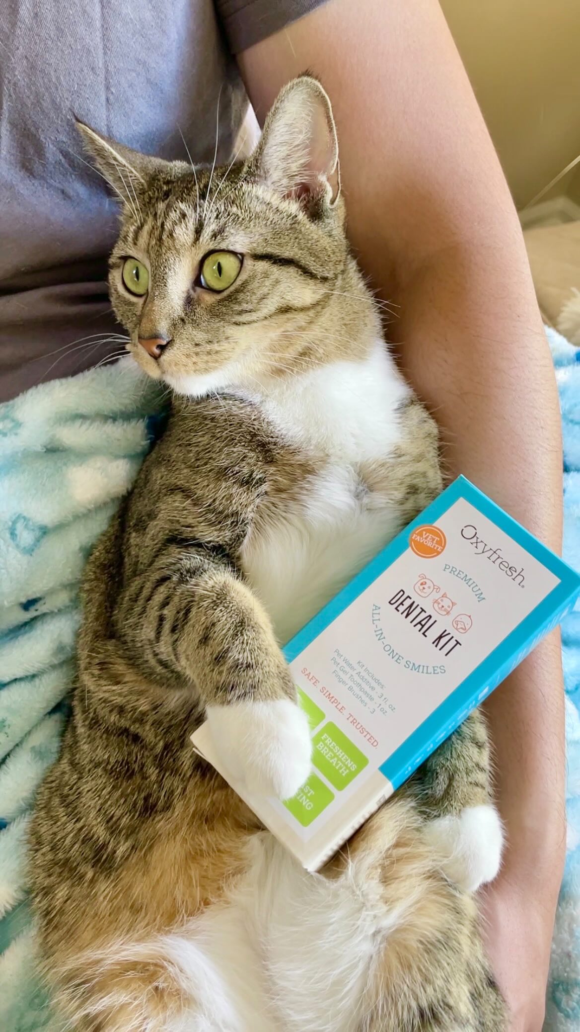 Instagram post by @meeloandmina for Oxyfresh. Caption reads: Oxyfresh has saved Mina’s dating life ❤️ She [...].