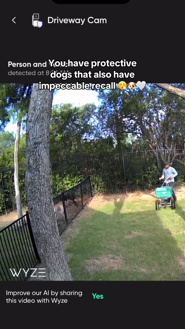 Instagram post by @tstarch for Wyze. Caption reads: You have protective dogs that also have impeccable....