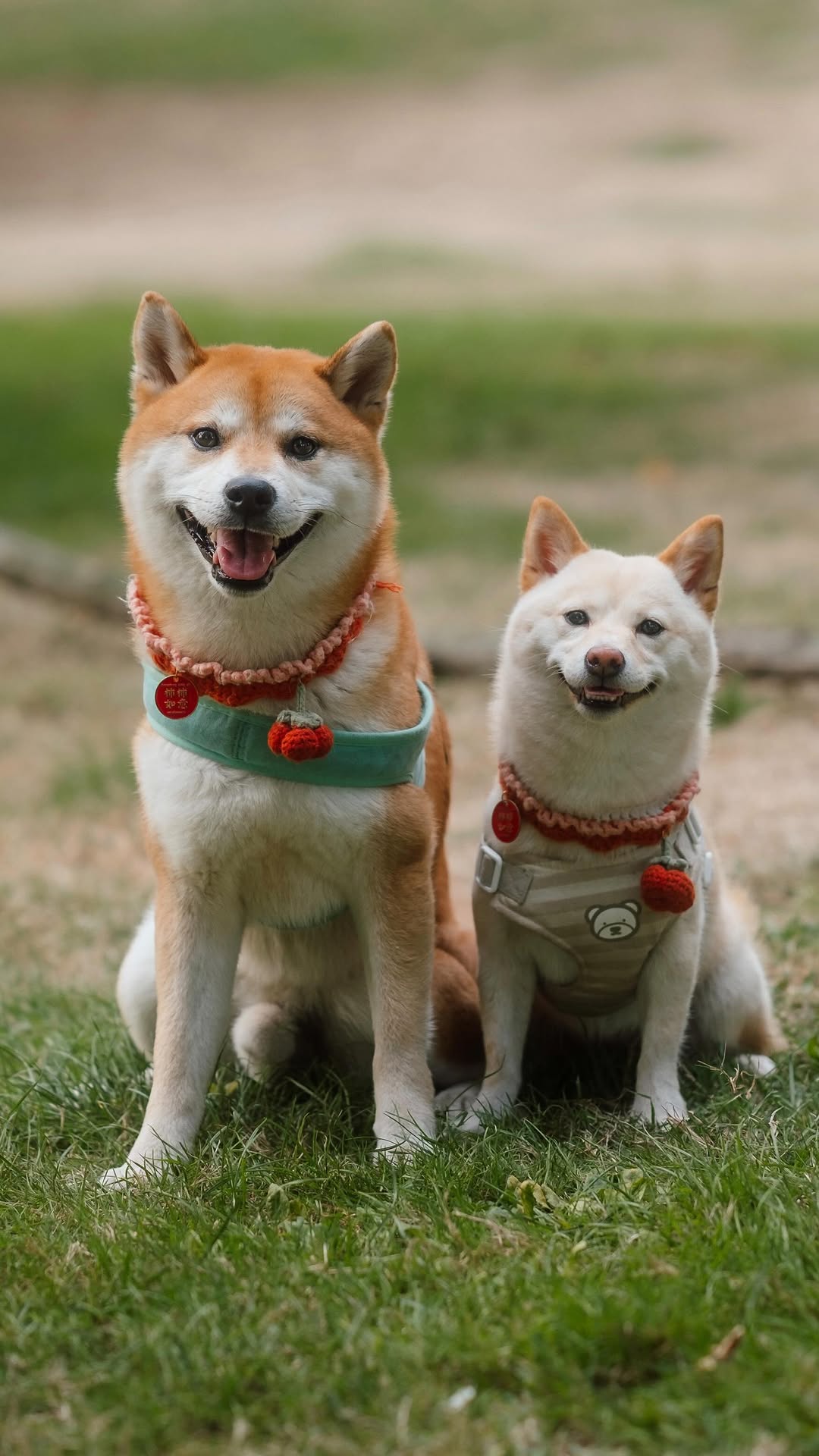 Instagram post by @justin.veenema for Viltrox. Caption reads: [...] to test out my new lens - the @viltrox.us....