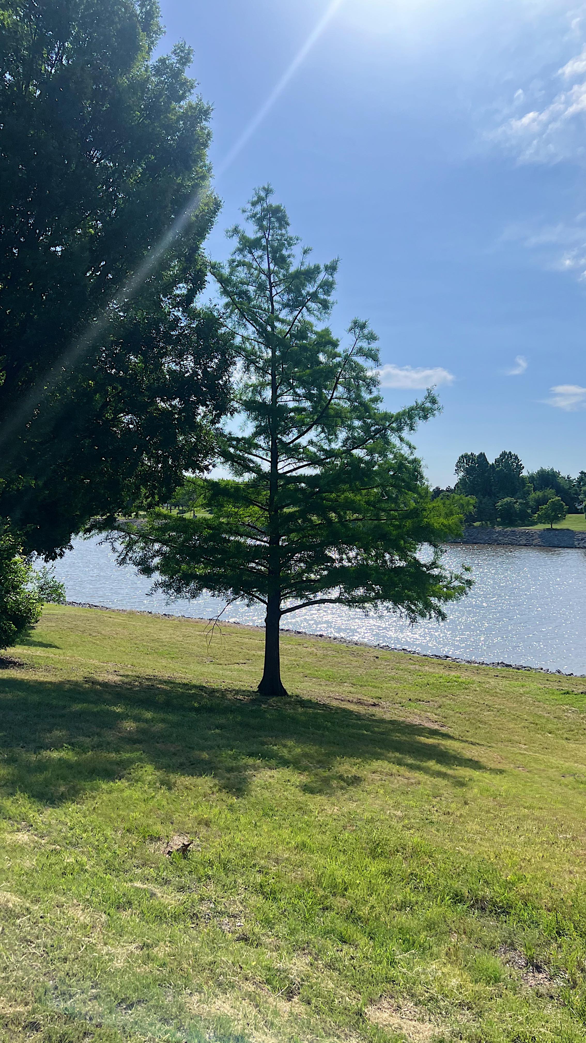 Instagram post by @jahlanaa for World Vision. Caption reads: [...] we scroll past. I’ve partnered with....