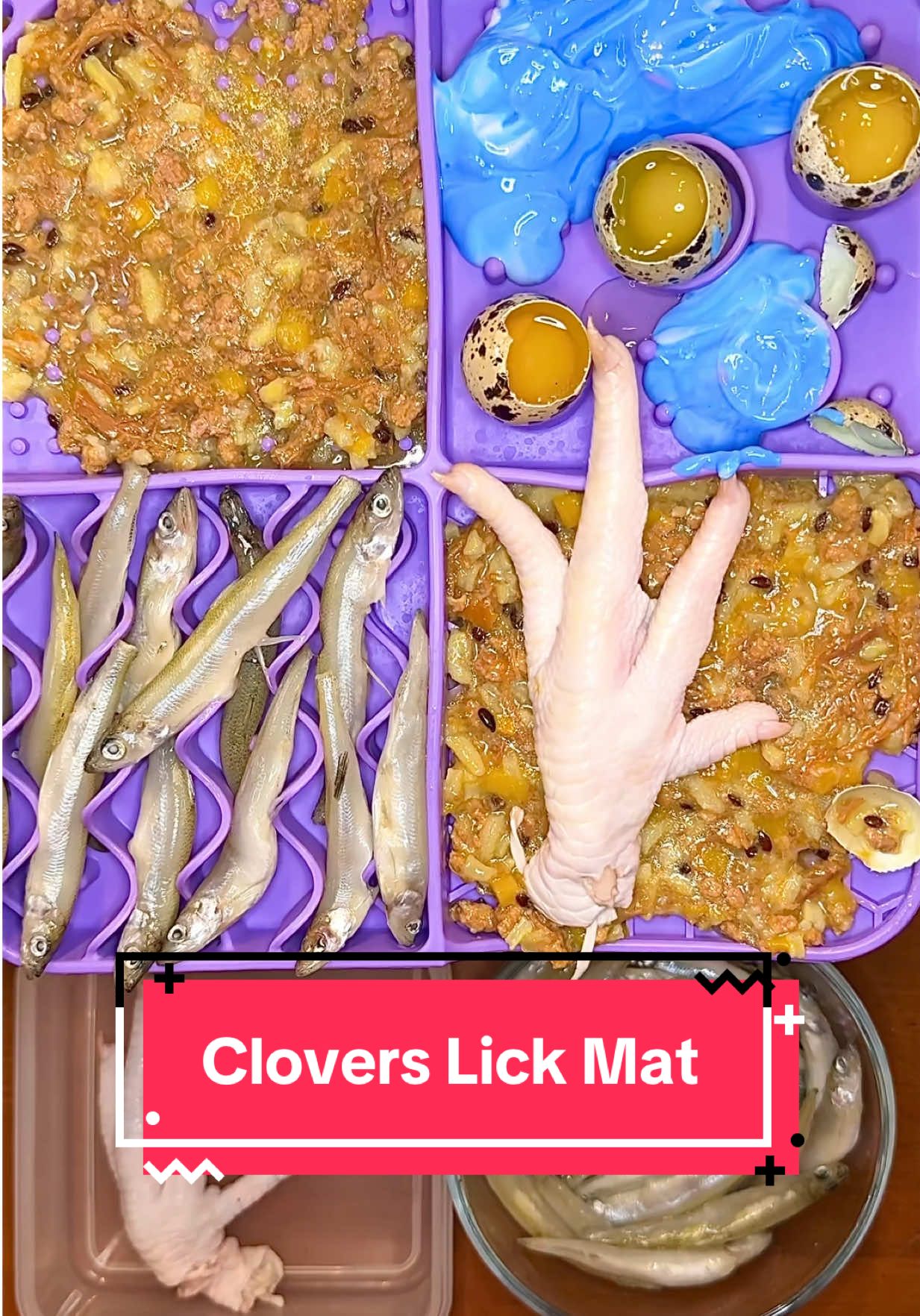 TikTok post by @kaylakowalskinutrition for Weruva. Caption reads: [...] #dogtreats #dogmom #doghacks #rawfeddog....