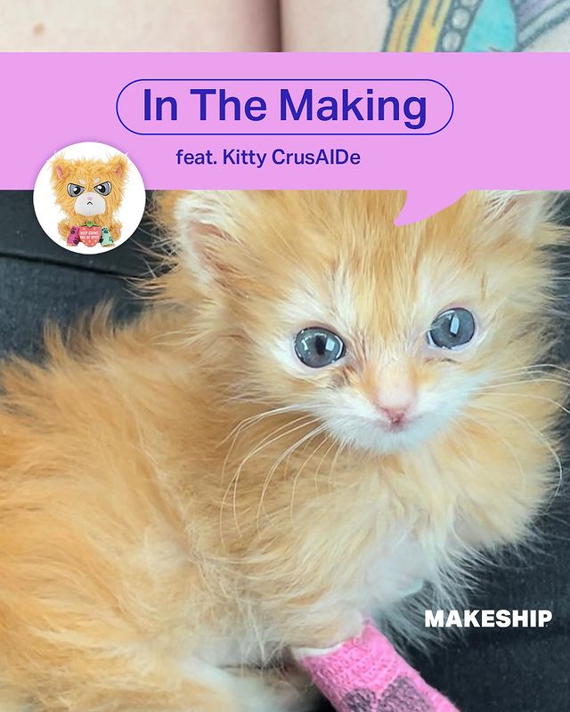 Instagram post by @kittycrusaide for Makeship. Caption reads: [...] to read more 🐱👉 Hit the link in @makeship....