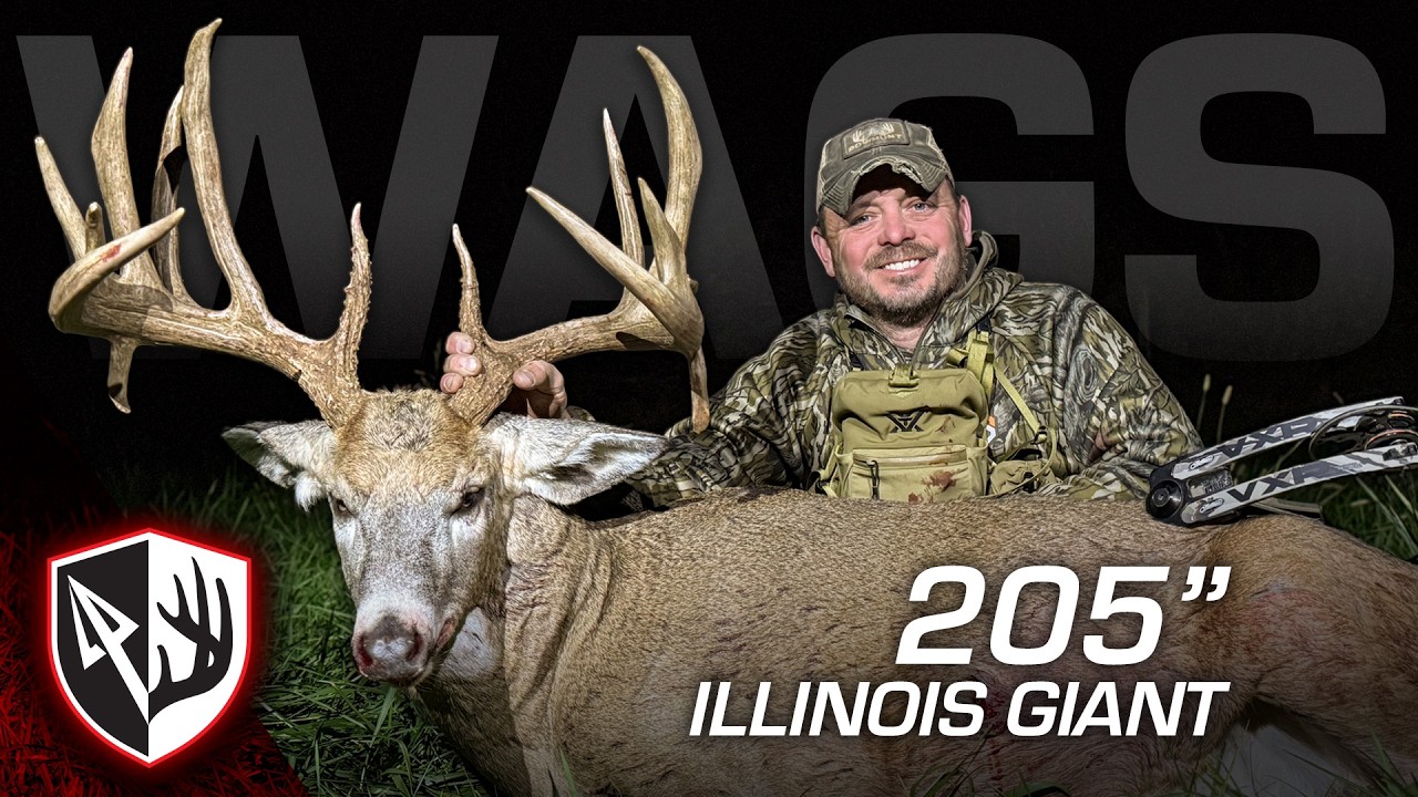 YouTube post by @bowhuntordie for Leroy’s Blend. Caption reads: 205" Illinois Giant! The Story of Wags.