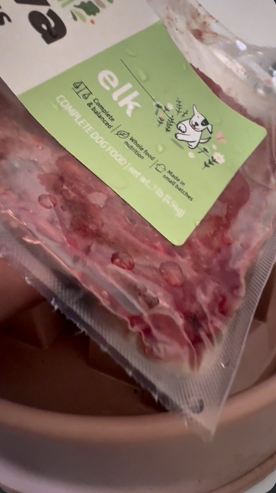 Instagram post by @raisingbane for Viva Raw. Caption reads: [...] get 20% off your first purchase 🐶 🥩....