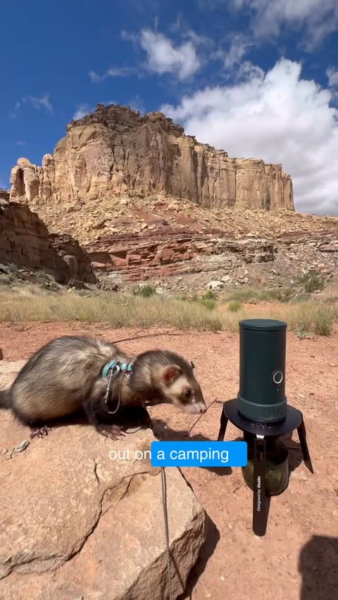 Instagram post by @hikingferret for OutIn. Caption reads: @outin.inc.official #gifted us the Mino portable....