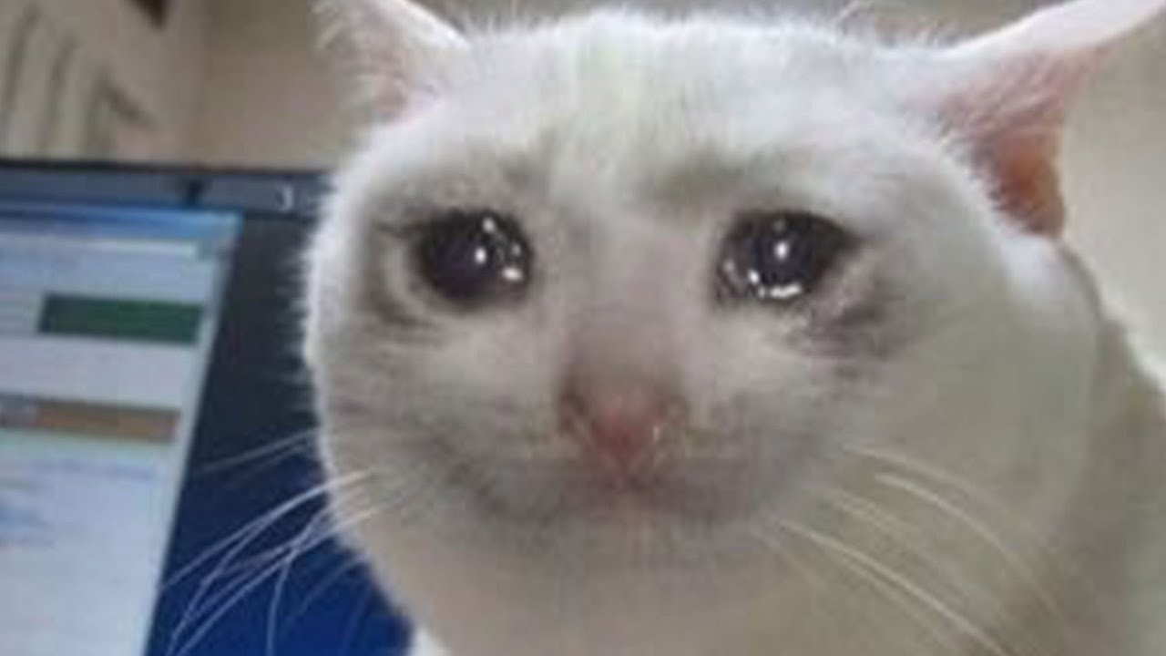 YouTube post by @rSlash for ExpressVPN. Caption reads: r/Bestof My Evil Boyfriend Pranked a Couple Over....