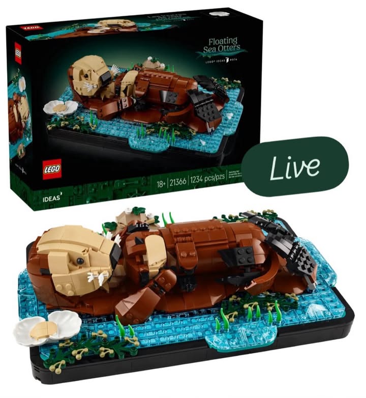 Instagram post by an influencer for Unknown Brand. Caption reads: Now live! And first look! The new LEGO Floating....
