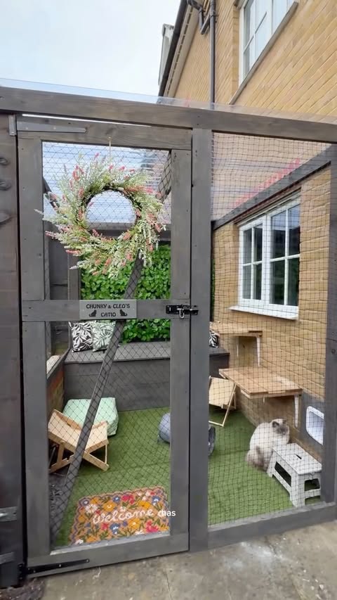 Instagram post by @itskatiemarie_ for B&M Stores. Caption reads: the catio of dreams 🐱 still so much we want to do....