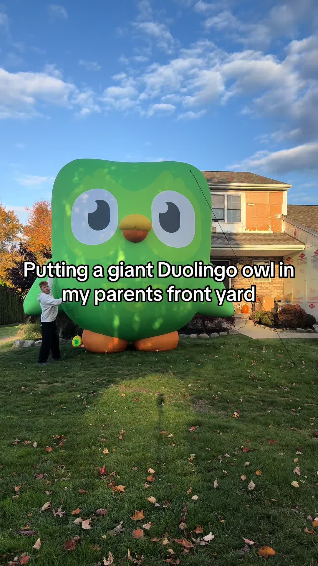 TikTok post by @corbinmillet for Duolingo. Caption reads: Gonna dress him up like a turkey for....