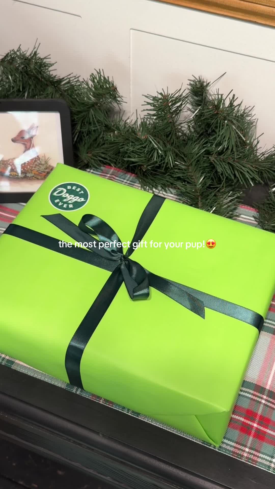 TikTok post by @cheetoandspud for Benebone. Caption reads: Thank you @Benebone!🥺🤍 #DogToys #DogBone #DogTok....