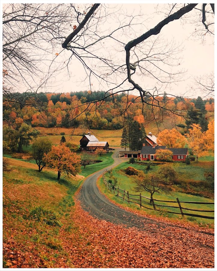 Instagram post by @ioegreer for Vsco. Caption reads: [...] that I’m now an ambassador & advisor for....