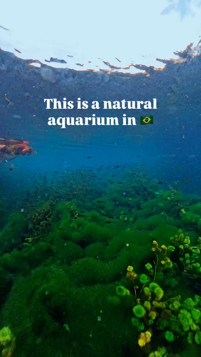 Instagram post by @caminhosdesconhecidos for Hygger Aquarium. Caption reads: Paradise in nature. This was not just my favorite....
