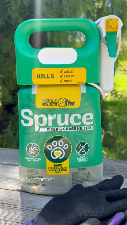 Instagram post by @yourgirlveen for Spruce. Caption reads: #SprucePartner #ad End-of-summer yard work [...].