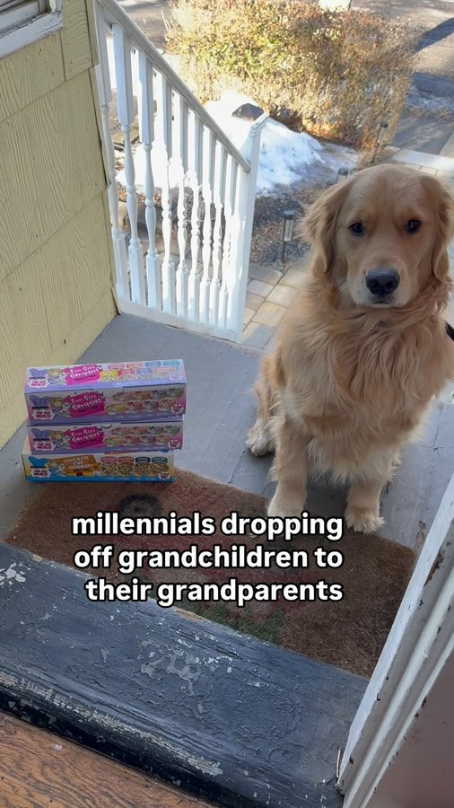 Instagram post by @stellasgoldendays for Weruva. Caption reads: we love the @weruva fun size cups for travel!....