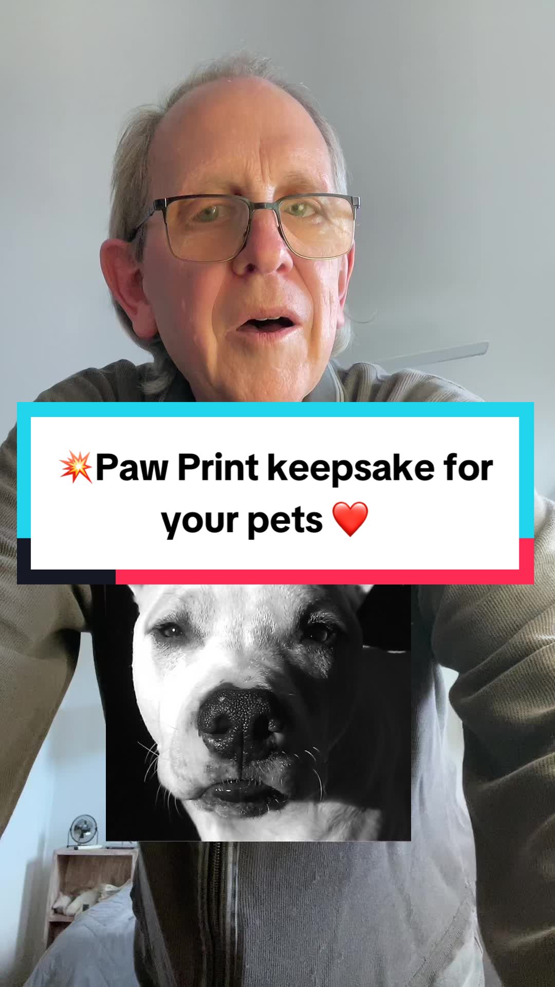 TikTok post by @johnspetsolutions for Larleaf. Caption reads: 💥This Larleaf Paw Print Kit gives you a clean,....