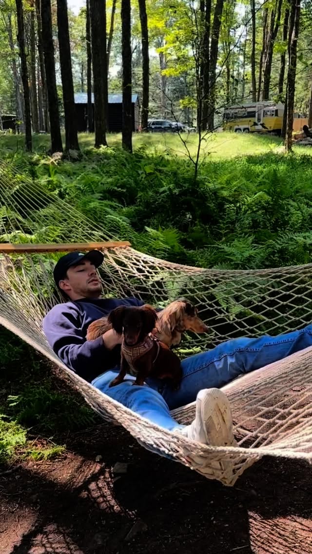 Instagram post by @thedachshunds.fam for Earth Rated. Caption reads: Keeping our pups clean before bed, wherever that....