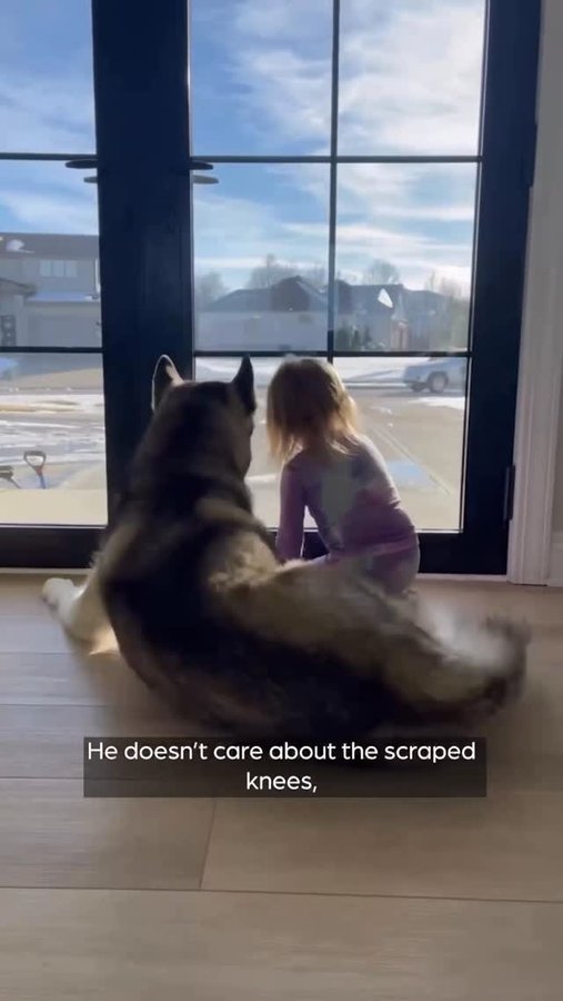 Instagram post by @emily.fauver for Zoetis Petcare. Caption reads: #ad #ZoetisPartner 
She’s never known life without....