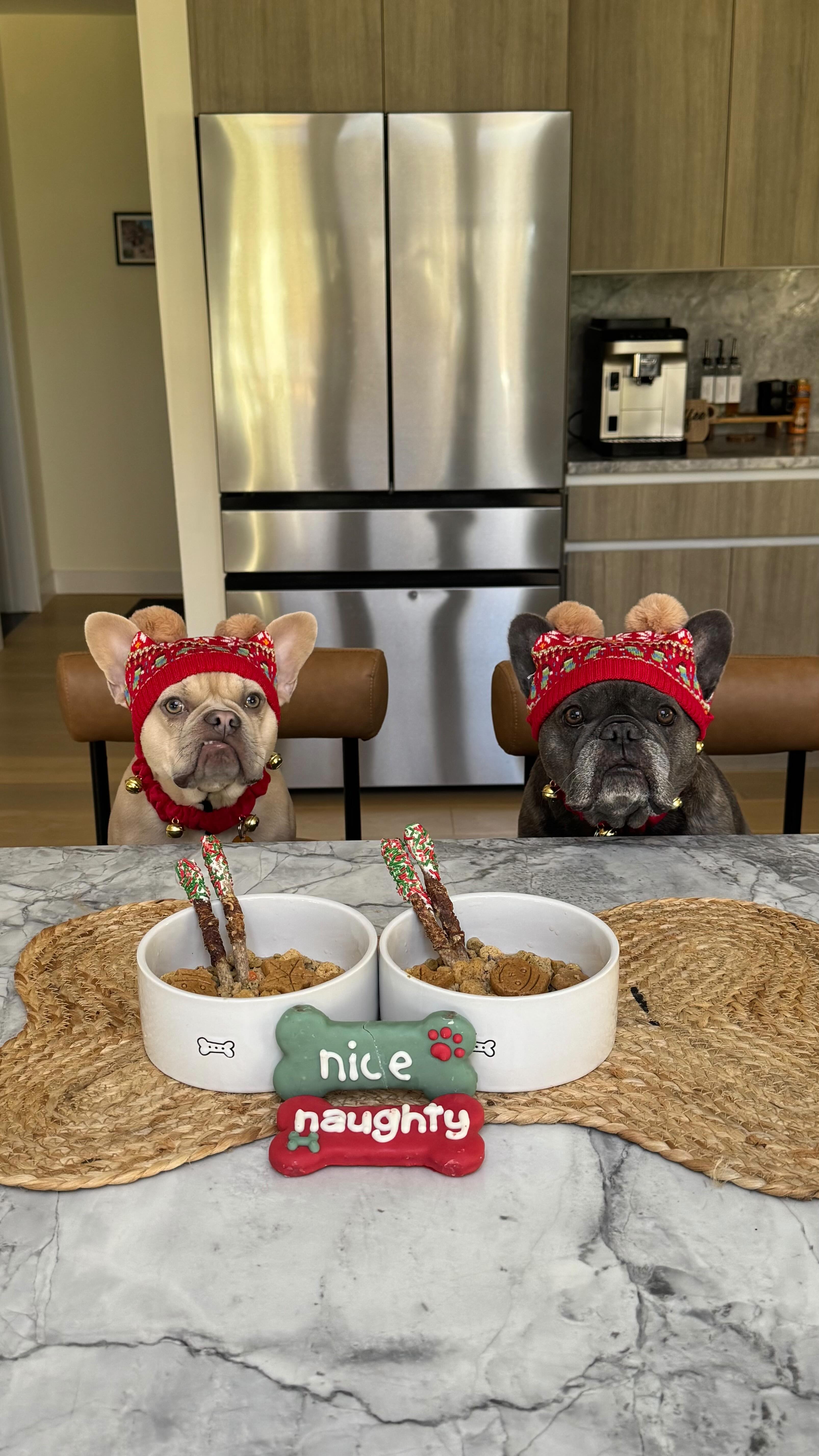 Instagram post by @winstonthefrenchiee_ for Petco. Caption reads: #ad Build a Holiday Bowl with our favorite @petco....