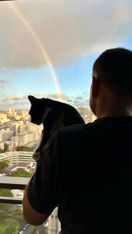 Instagram post by @moana.and.snapple for Cats of Instagram. Caption reads: We have the privilege to care for Moana & Snapple....