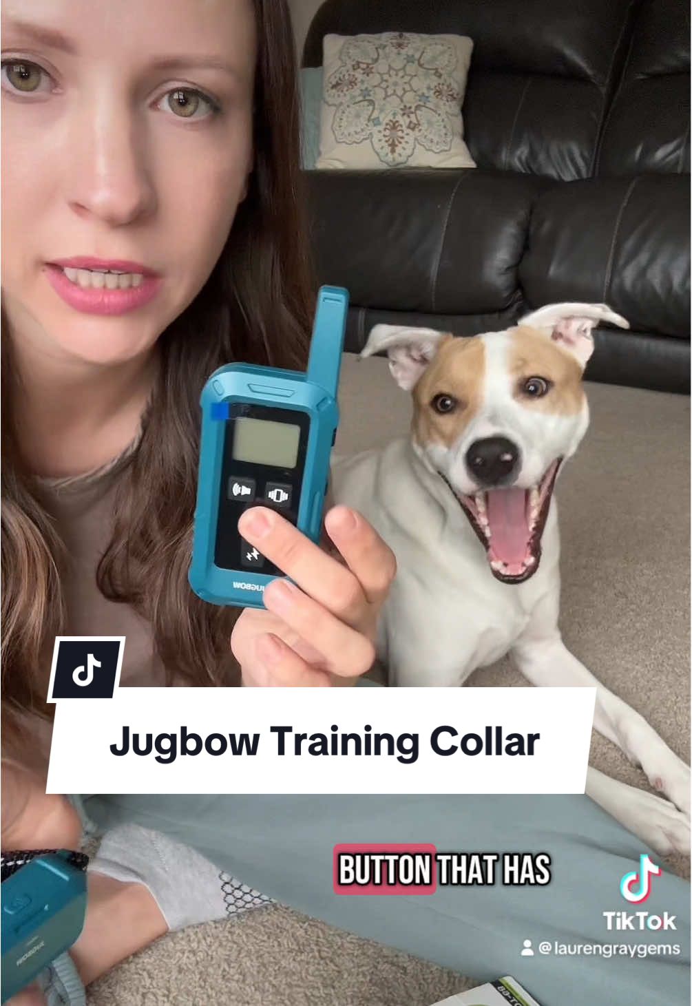 TikTok post by @laurengraygems for Jugbow. Caption reads: [...] sale! #creatorsearchinsights #dogcollar....