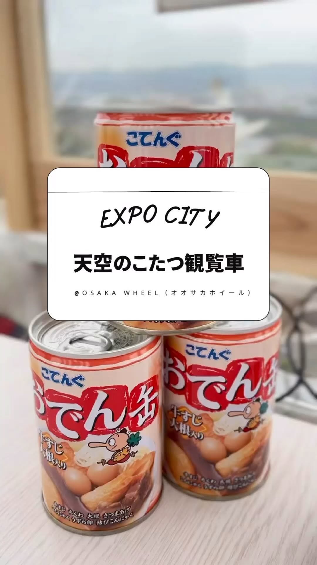 Instagram post by @hokusetsu_tekuteku for OSAKA WHEEL. Caption reads: 日本一高い観覧車、ららぽーとエキスポシティ「オオサカホイール」へ。

観覧車がこたつに！？おでんと熱....