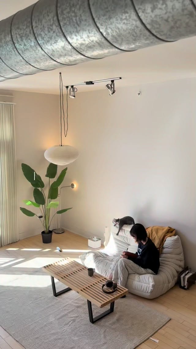 Instagram post by @_harumaki__m for Petlibro. Caption reads: [...] friends. I recently got the PETLIBRO....