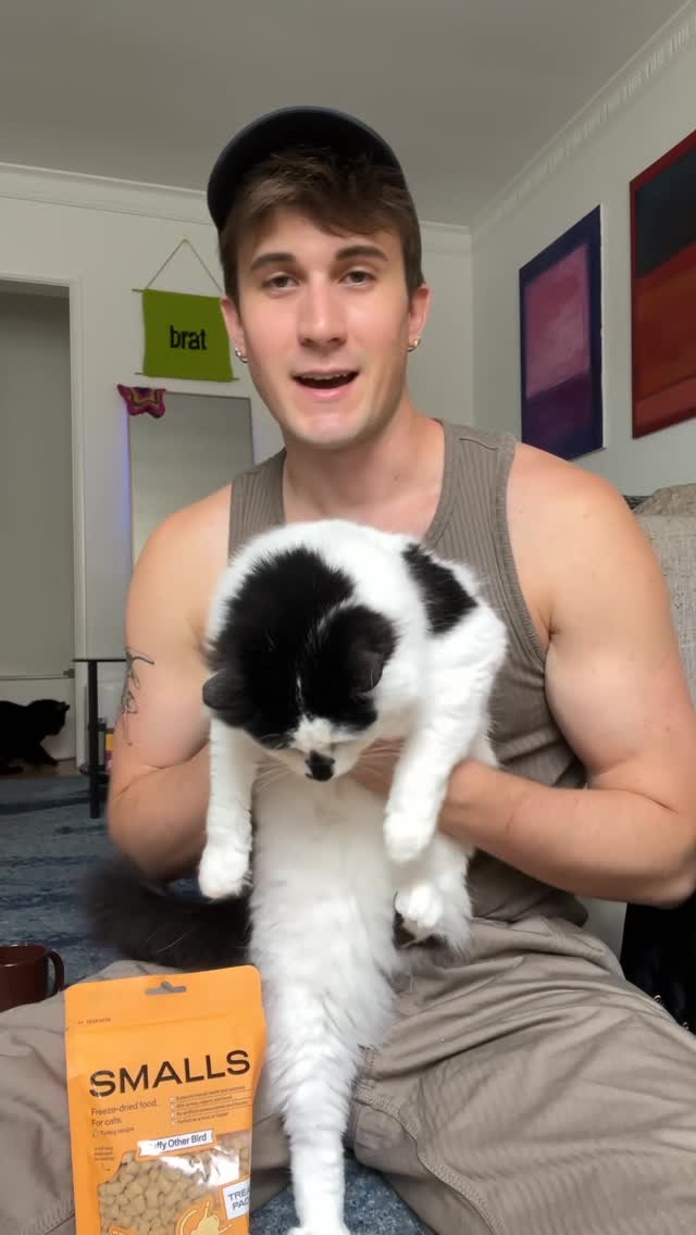 Instagram post by @broiled_crawfish for Smalls. Caption reads: cat dads do it better @smallsforcats #catdad #ad.