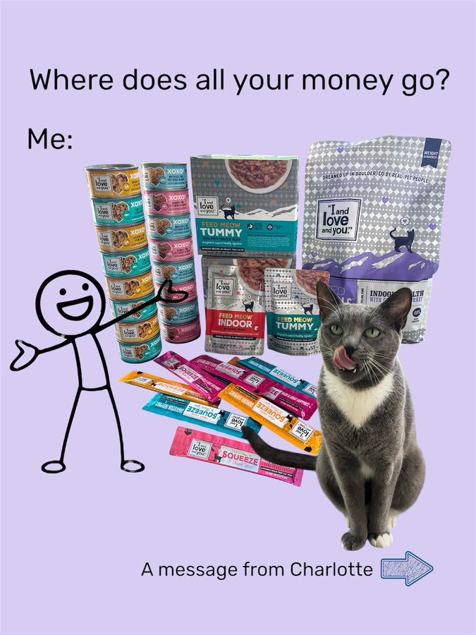 Instagram post by @purrfectinfluencer for I and love and you. Caption reads: [ad] Let's get real for a sec - "I and love and....