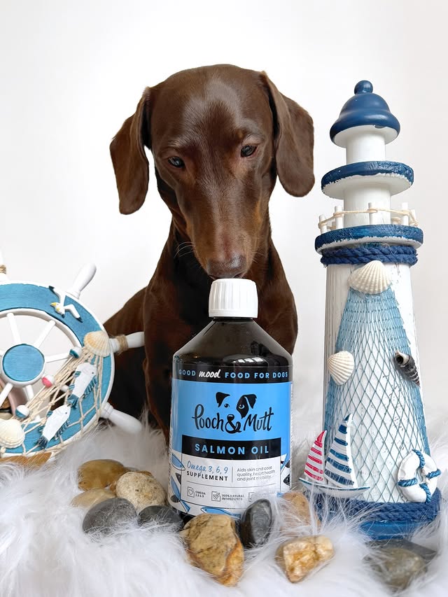 Instagram post by @frankie_dachshund03 for Pooch and Mutt. Caption reads: Have you ever tried salmon oil in your food. I get....