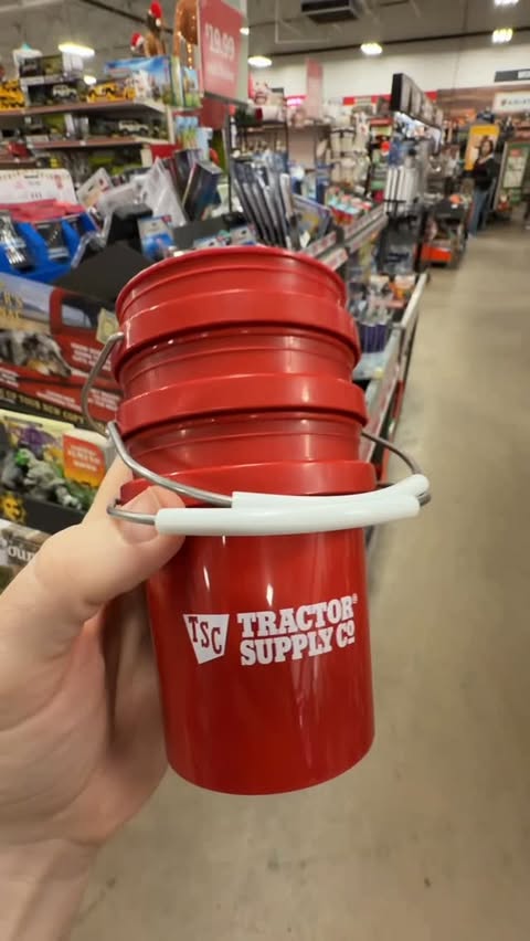 Instagram post by @masteringmayhem for Tractor Supply. Caption reads: They just got these mini buckets in stock at my....